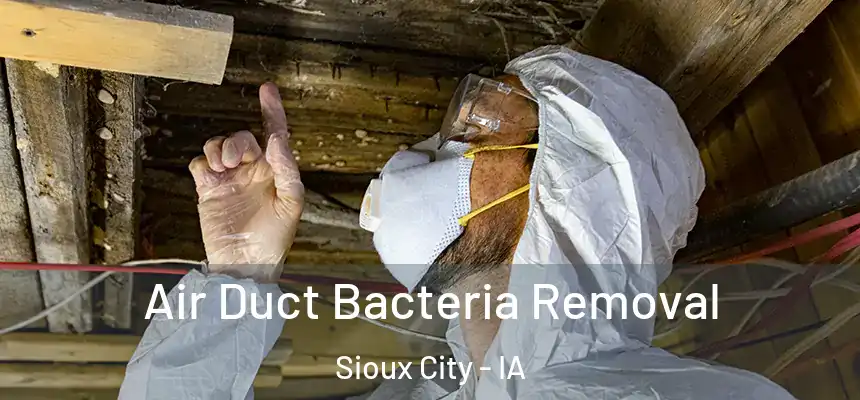  Air Duct Bacteria Removal Sioux City - IA