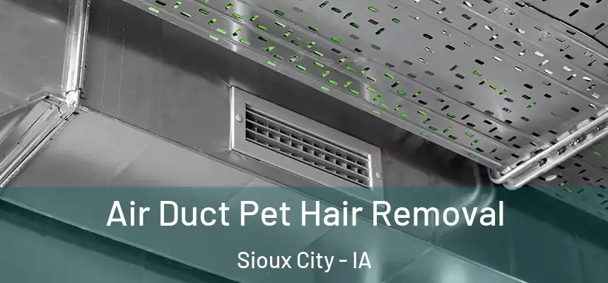  Air Duct Pet Hair Removal Sioux City - IA