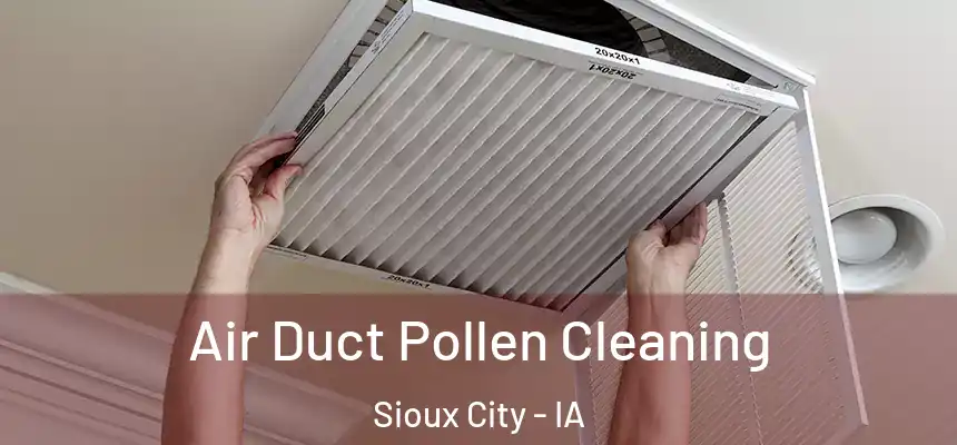  Air Duct Pollen Cleaning Sioux City - IA