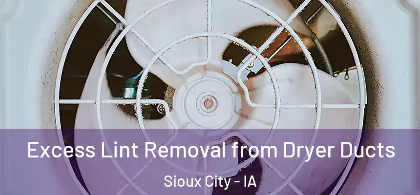 Excess Lint Removal from Dryer Ducts Sioux City - IA