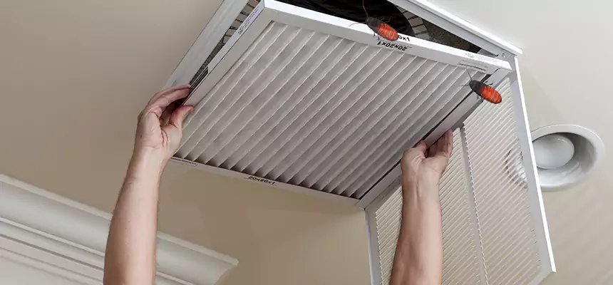 Preventive Cockroach-Proofing for Ducts in Sioux City