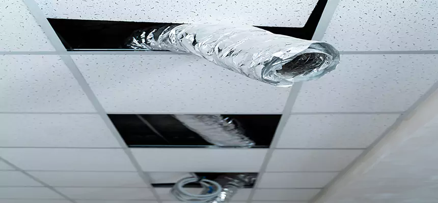 Affordable HVAC Sanitizing After Pest Removal in Sioux City