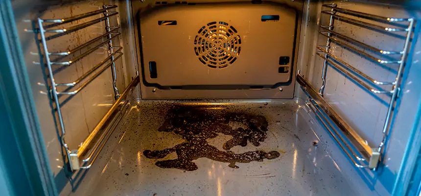 Our Dryer Vent Mold Cleaning Services in Sioux City, IA