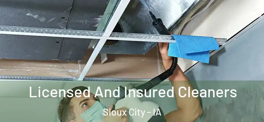 Licensed And Insured Cleaners Sioux City - IA