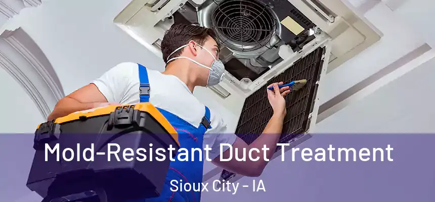  Mold-Resistant Duct Treatment Sioux City - IA