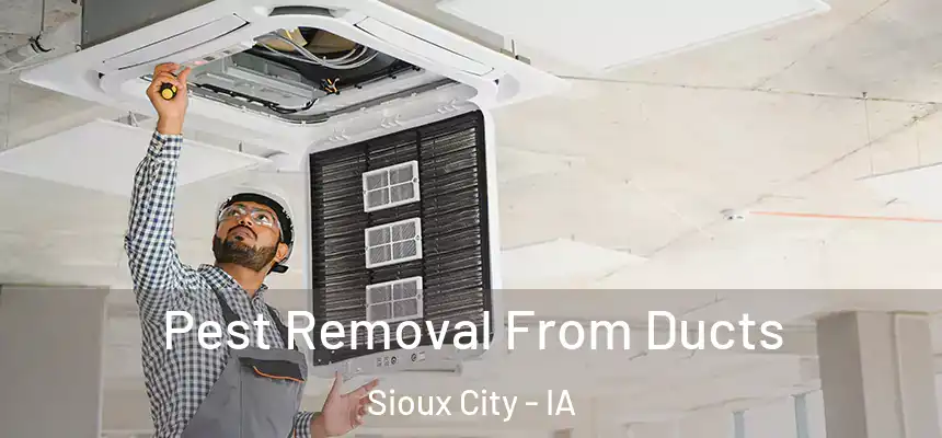  Pest Removal From Ducts Sioux City - IA