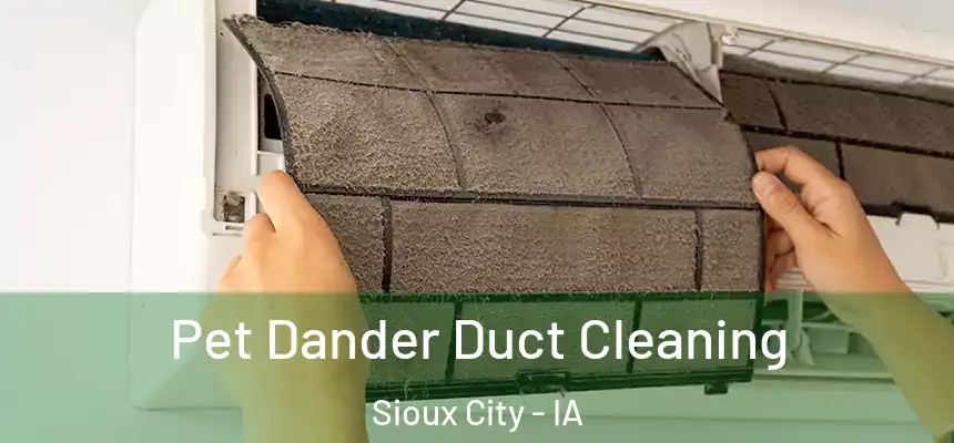  Pet Dander Duct Cleaning Sioux City - IA