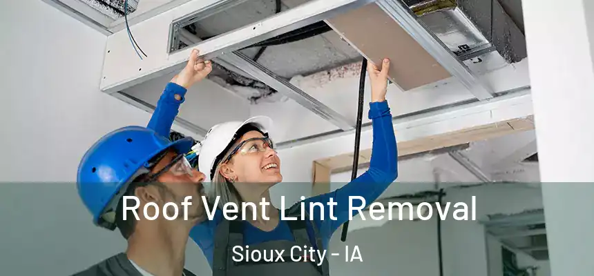 Roof Vent Lint Removal Sioux City - IA