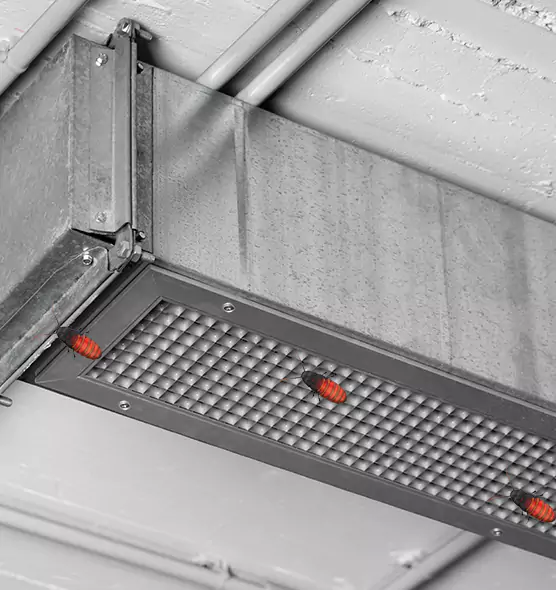 About Air Duct Cockroach Removal in Sioux City, IA
