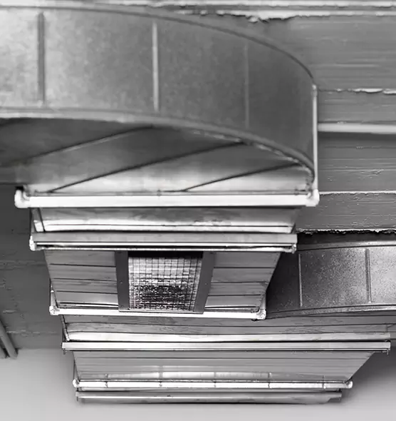 Professional Air Duct Pest Removal in Sioux City, IA