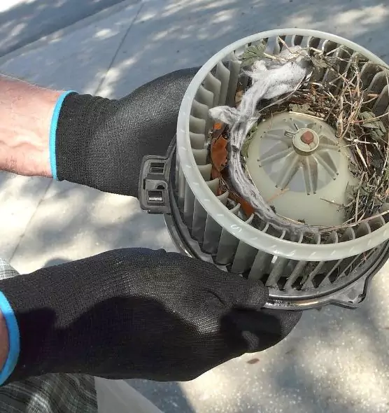 About Air Duct Rat Removal in Sioux City, IA